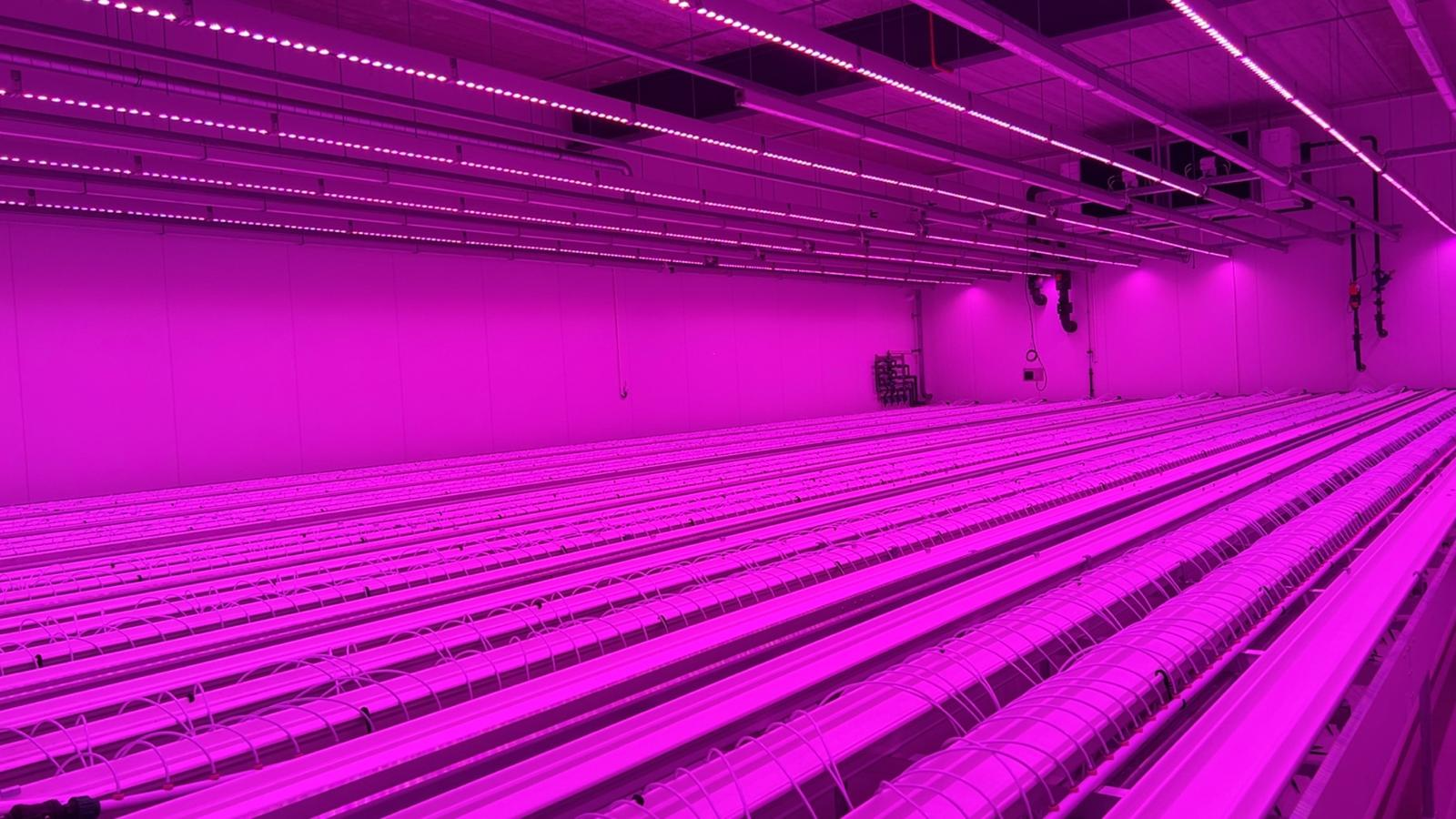 Elektra Werkzaamheden